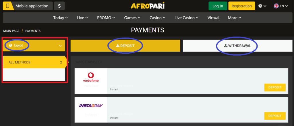 Money Transactions on AfroPari 