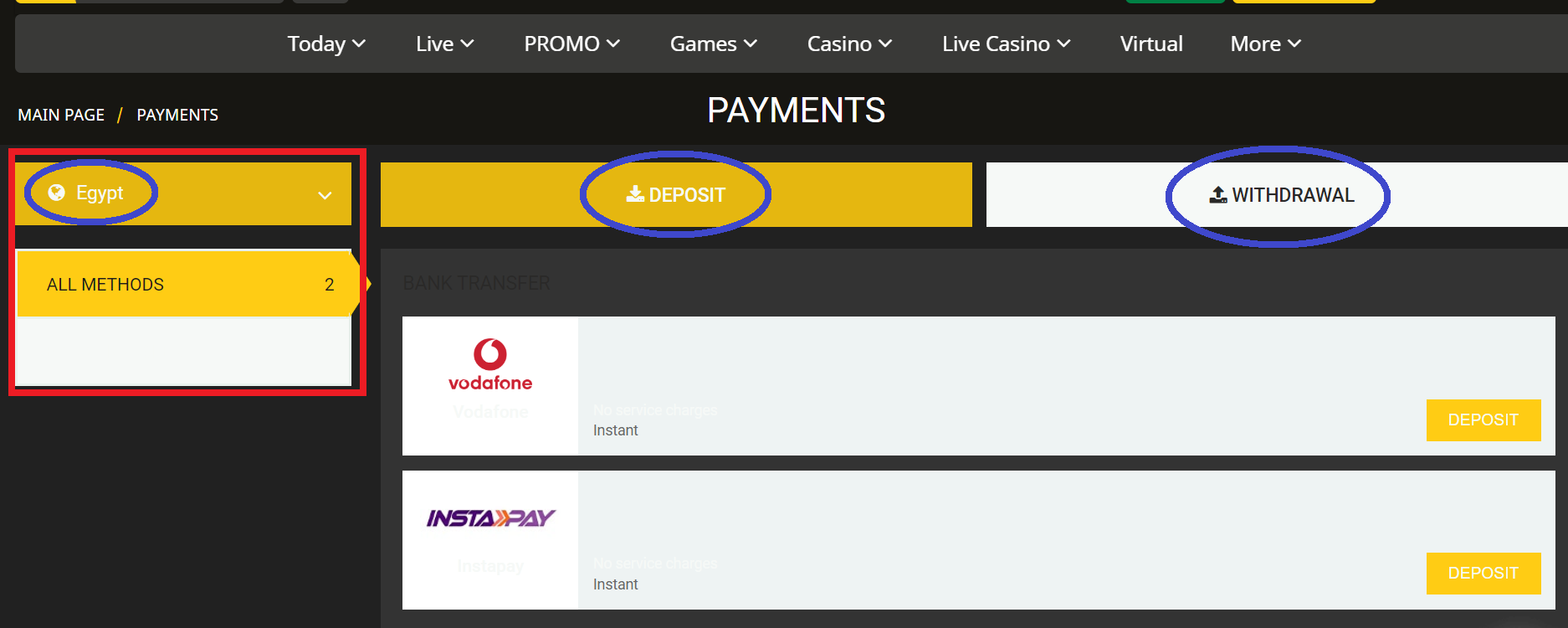 Money Transactions on AfroPari