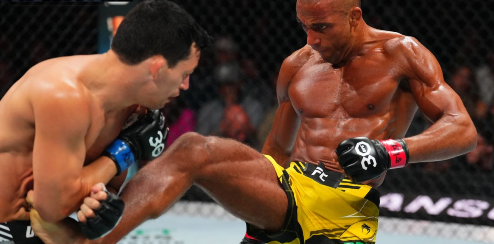 AfroPari Registration